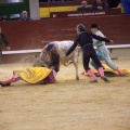 Castellón, Magdalena 2014