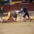 Castellón, Magdalena 2014