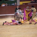 Castellón, Magdalena 2014
