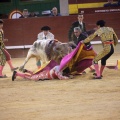 Castellón, Magdalena 2014
