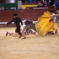 Castellón, Magdalena 2014