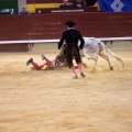 Castellón, Magdalena 2014
