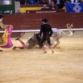 Castellón, Magdalena 2014