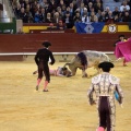 Castellón, Magdalena 2014