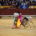 Castellón, Magdalena 2014