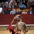Castellón, Magdalena 2014