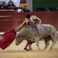 Castellón, Magdalena 2014