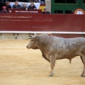 Castellón, Magdalena 2014