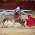 Castellón, Magdalena 2014