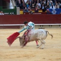 Castellón, Magdalena 2014