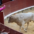 Castellón, Magdalena 2014