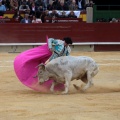 Castellón, Magdalena 2014