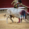 Castellón, Magdalena 2014