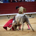 Castellón, Magdalena 2014