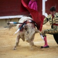 Castellón, Magdalena 2014