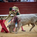 Castellón, Magdalena 2014