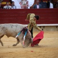 Castellón, Magdalena 2014