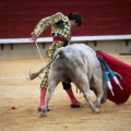 Castellón, Magdalena 2014