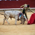 Castellón, Magdalena 2014