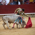 Castellón, Magdalena 2014