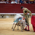 Castellón, Magdalena 2014