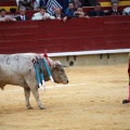 Castellón, Magdalena 2014