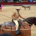 Castellón, Magdalena 2014