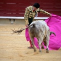 Castellón, Magdalena 2014