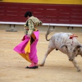 Castellón, Magdalena 2014