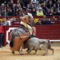 Castellón, Magdalena 2014