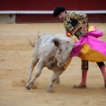 Castellón, Magdalena 2014