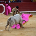 Castellón, Magdalena 2014