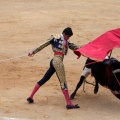 Castellón, Magdalena 2014