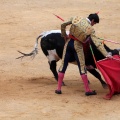 Castellón, Magdalena 2014