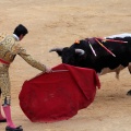 Castellón, Magdalena 2014