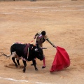 Castellón, Magdalena 2014