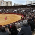 Castellón, Magdalena 2014