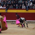 Castellón, Magdalena 2014