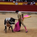 Castellón, Magdalena 2014