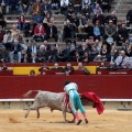 Castellón, Magdalena 2014