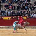 Castellón, Magdalena 2014