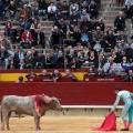 Castellón, Magdalena 2014