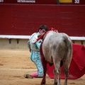 Castellón, Magdalena 2014