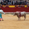 Castellón, Magdalena 2014