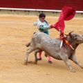 Castellón, Magdalena 2014