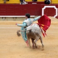 Castellón, Magdalena 2014