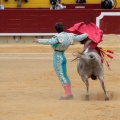 Castellón, Magdalena 2014