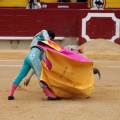 Castellón, Magdalena 2014