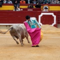 Castellón, Magdalena 2014