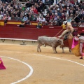 Castellón, Magdalena 2014